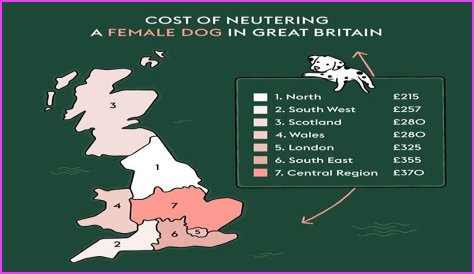 How Much Does It Cost to Neuter a Dog?